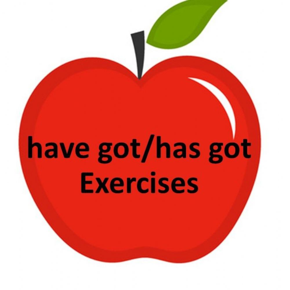 have got/has got exercises - paylasogretkazan.com